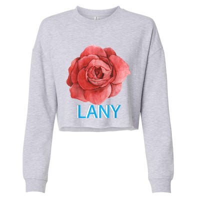 Lany Dumb Stuff Cropped Pullover Crew