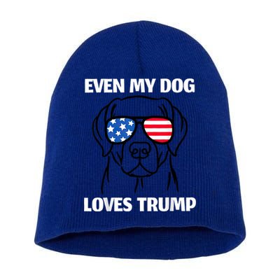 Labrador Dog Sunglasses Usa Flag Even My Dog Loves Trump Short Acrylic Beanie