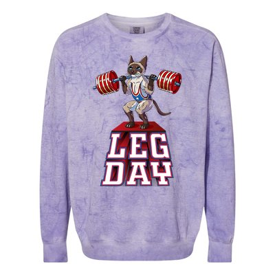 Leg Day Siamese Weight Lifting Squat Gym Gift Colorblast Crewneck Sweatshirt