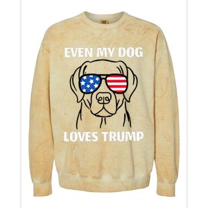 Labrador Dog Sunglasses Usa Flag Even My Dog Loves Trump Colorblast Crewneck Sweatshirt