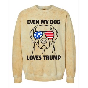 Labrador Dog Sunglasses Usa Flag Even My Dog Loves Trump Colorblast Crewneck Sweatshirt