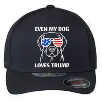 Labrador Dog Sunglasses Usa Flag Even My Dog Loves Trump Flexfit Unipanel Trucker Cap