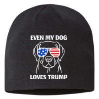 Labrador Dog Sunglasses Usa Flag Even My Dog Loves Trump Sustainable Beanie