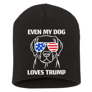 Labrador Dog Sunglasses Usa Flag Even My Dog Loves Trump Short Acrylic Beanie