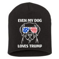 Labrador Dog Sunglasses Usa Flag Even My Dog Loves Trump Short Acrylic Beanie