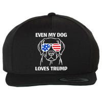 Labrador Dog Sunglasses Usa Flag Even My Dog Loves Trump Wool Snapback Cap