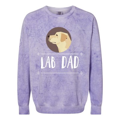 Lab Dad Yellow Labrador Retriever Dog Gift Colorblast Crewneck Sweatshirt