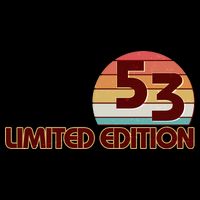 Limited Edition 1953 Retro Sun 70th Birthday Button