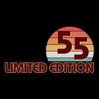 Limited Edition 1955 Retro Sun 70th Birthday Toddler Hoodie