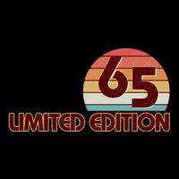Limited Edition 1965 Retro Sun 60th Birthday Polo