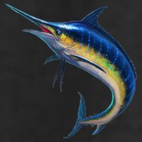Leaping Blue Marlin Adult Drive Performance Visor
