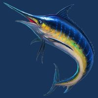 Leaping Blue Marlin Button