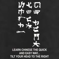 Learn To Read Chinese Adult Drive Performance Visor