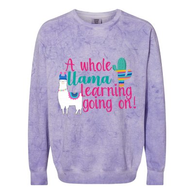 Learning Llama Colorblast Crewneck Sweatshirt