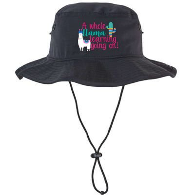 Learning Llama Bucket Hat