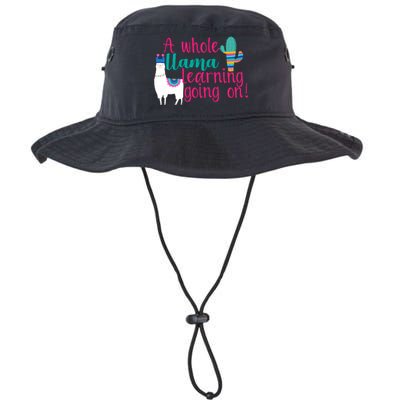 Learning Llama Legacy Cool Fit Booney Bucket Hat