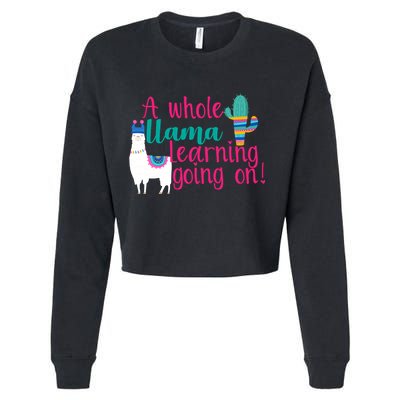 Learning Llama Cropped Pullover Crew