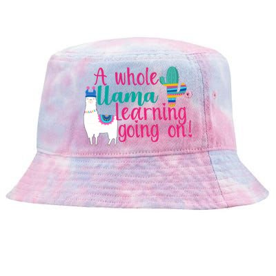 Learning Llama Tie-Dyed Bucket Hat