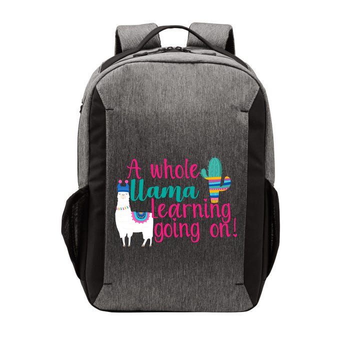 Learning Llama Vector Backpack