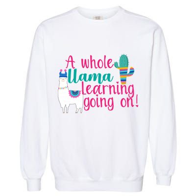 Learning Llama Garment-Dyed Sweatshirt