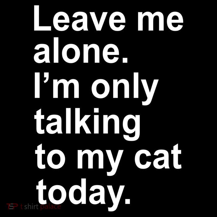 Leave Me Alone Talking To Cat Sweatshirt