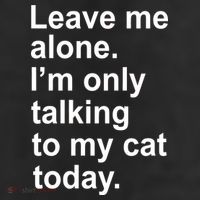 Leave Me Alone Talking To Cat 11oz C Handle Ceramic Mug