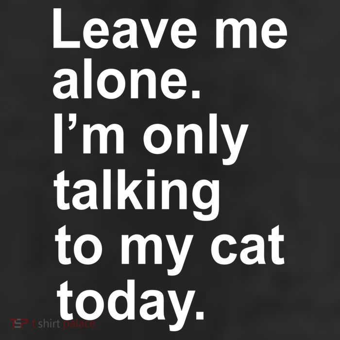 Leave Me Alone Talking To Cat 11oz C Handle Ceramic Mug