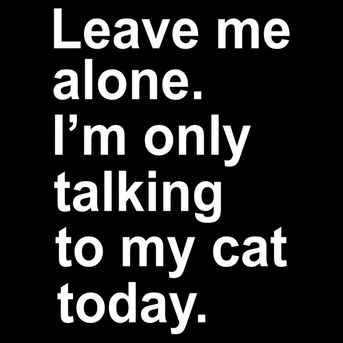 Leave Me Alone Talking To Cat Premium T-Shirt