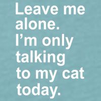 Leave Me Alone Talking To Cat Sueded Cloud Jersey T-Shirt