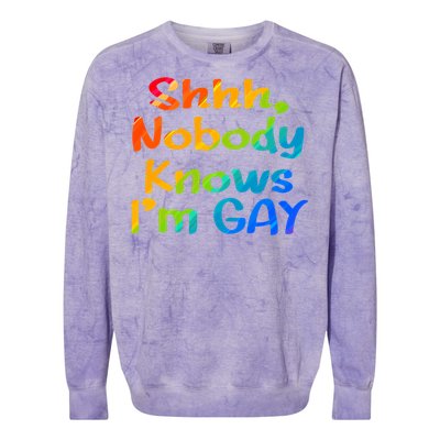 Lgbtq+ Equality Bisexual Lesbian Shh Nobody Knows Im Gay Gift Colorblast Crewneck Sweatshirt