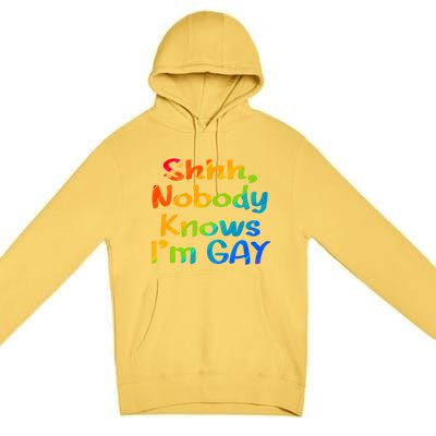 Lgbtq+ Equality Bisexual Lesbian Shh Nobody Knows Im Gay Gift Premium Pullover Hoodie