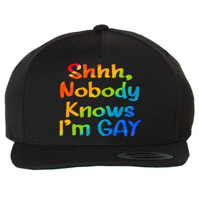 Lgbtq+ Equality Bisexual Lesbian Shh Nobody Knows Im Gay Gift Wool Snapback Cap