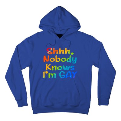 Lgbtq+ Equality Bisexual Lesbian Shh Nobody Knows Im Gay Gift Hoodie