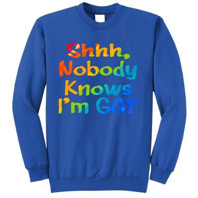 Lgbtq+ Equality Bisexual Lesbian Shh Nobody Knows Im Gay Gift Sweatshirt