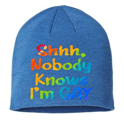 Lgbtq+ Equality Bisexual Lesbian Shh Nobody Knows Im Gay Gift Sustainable Beanie