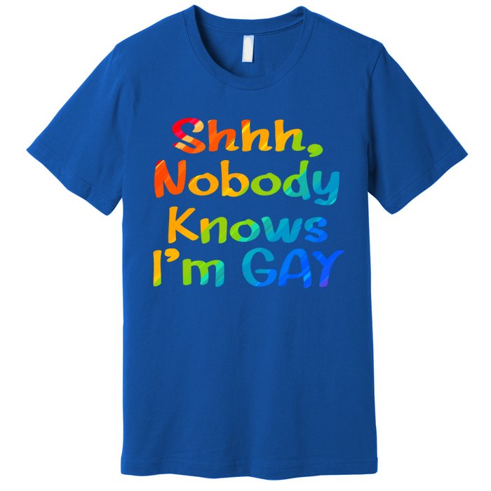 Lgbtq+ Equality Bisexual Lesbian Shh Nobody Knows Im Gay Gift Premium T-Shirt