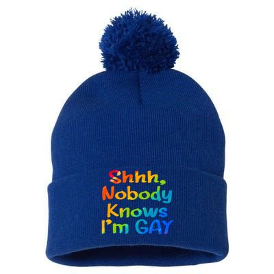 Lgbtq+ Equality Bisexual Lesbian Shh Nobody Knows Im Gay Gift Pom Pom 12in Knit Beanie