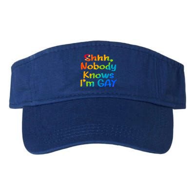 Lgbtq+ Equality Bisexual Lesbian Shh Nobody Knows Im Gay Gift Valucap Bio-Washed Visor