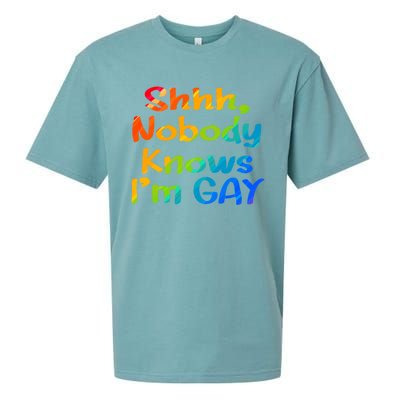 Lgbtq+ Equality Bisexual Lesbian Shh Nobody Knows Im Gay Gift Sueded Cloud Jersey T-Shirt