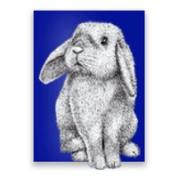 Lop Eared Bunny Rabbit Cute Gift Poster