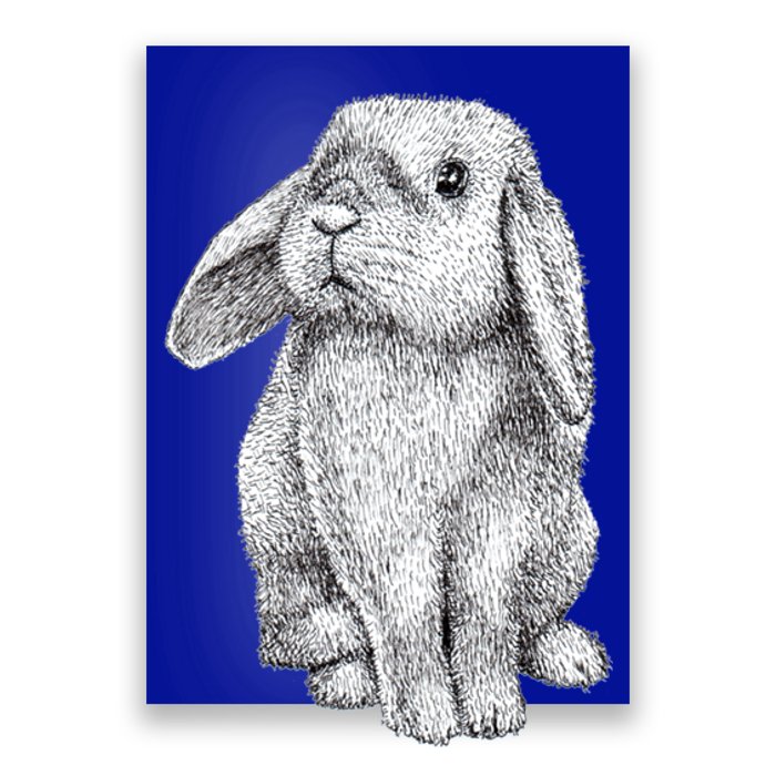 Lop Eared Bunny Rabbit Cute Gift Poster