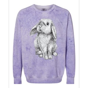 Lop Eared Bunny Rabbit Cute Gift Colorblast Crewneck Sweatshirt