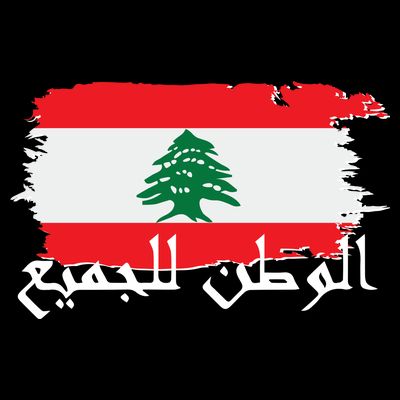 Lebanon Home For All Support Flag T-Shirt