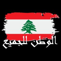 Lebanon Home For All Support Flag Tall T-Shirt