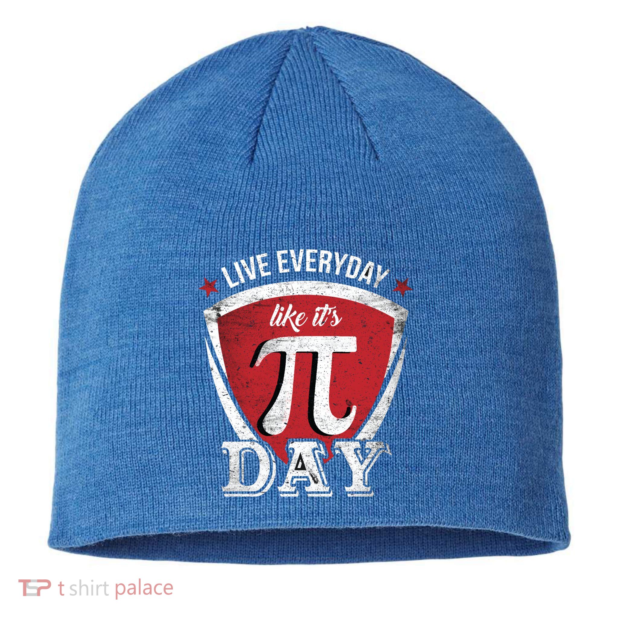 Live Every Day Like It's Pi Day Gift Sustainable Beanie