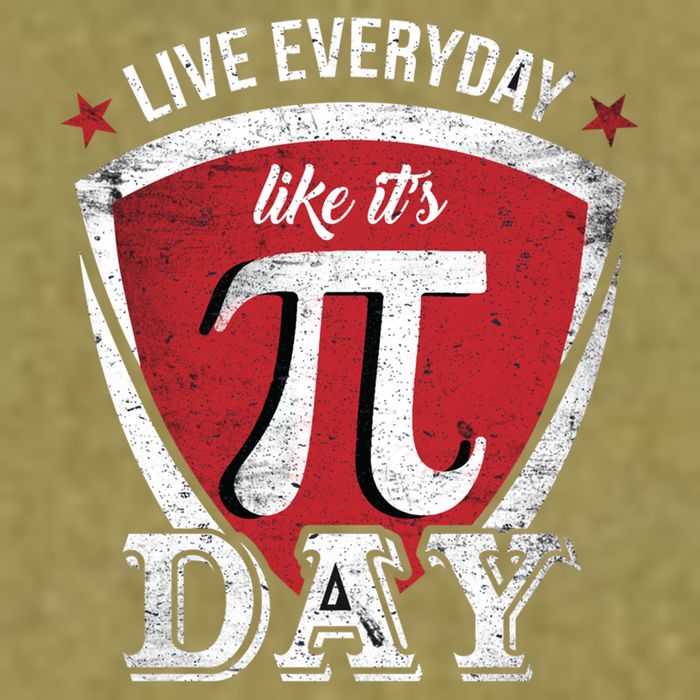Live Every Day Like It's Pi Day Gift Garment-Dyed Women's Muscle Tee