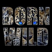Leopard Eyes Face Born Wild Iger Lion Animal Print Cat Cooling Performance Crew T-Shirt