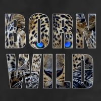Leopard Eyes Face Born Wild Iger Lion Animal Print Cat Adult Drive Performance Visor