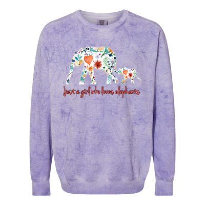 Loves Elephants Gift Great Gift Colorblast Crewneck Sweatshirt