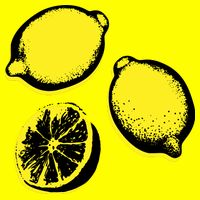 Lemon Magnet